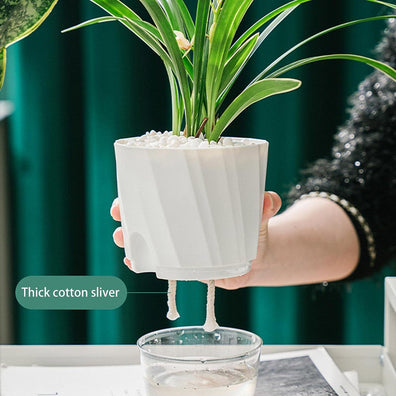 Self Watering Pot